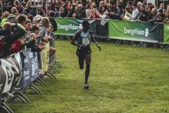 CrossCup_Berlare_AllPictures_BlueFrame-185