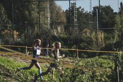 CrossCup_Roeselare_ALL_BlueFrame_P1-64