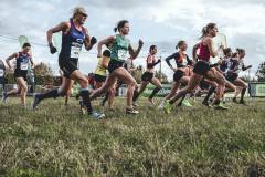 BFM-CROSSCUP-ROESELARE-68